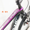 X-TREME Meihanda 29" Carbon Fiber Mountain Bike