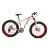 Meihanda Snow Bike